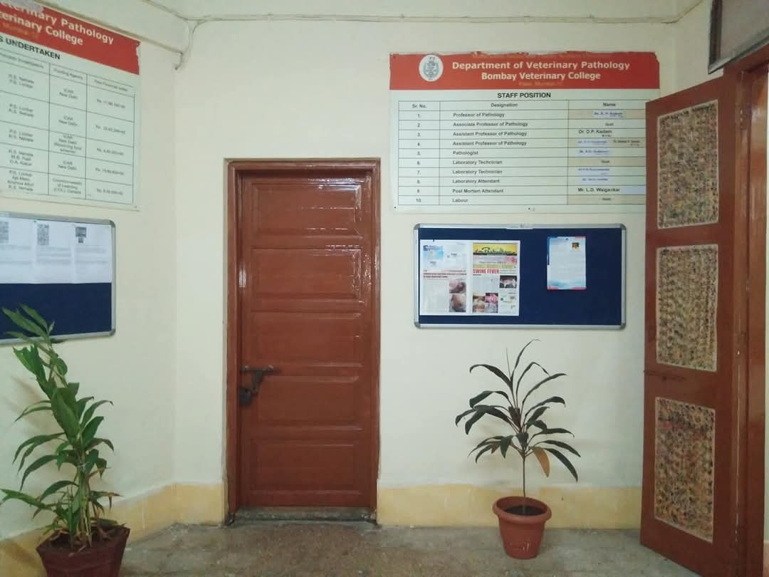 Display Area 2